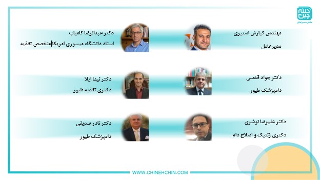 چینه چین