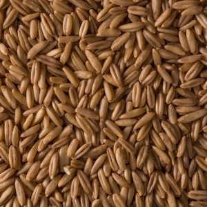 مکمل های ویتامینه و معدنی مرغ گوشتی
