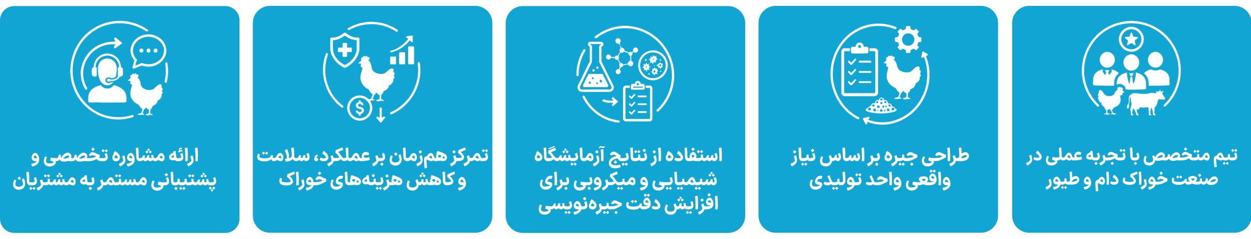 خدمات جیره نویسی