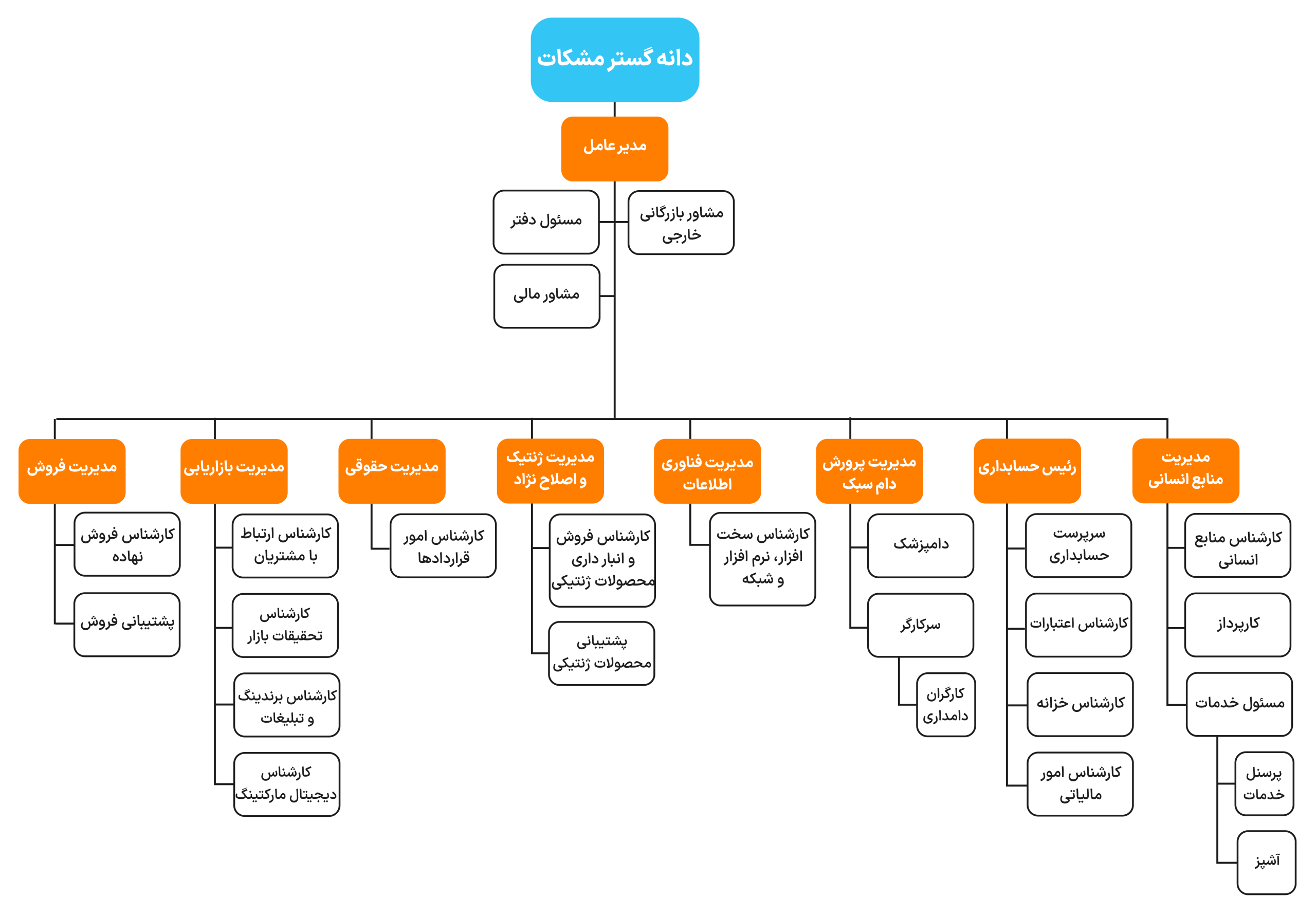 دانه گستر مشکات.png2